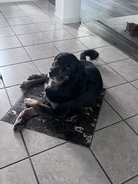 Balcones Animal Hospital Inc Picture 10