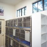 Manchaca Village Veterinary Care