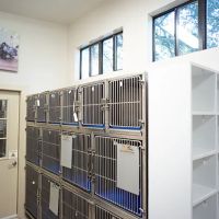 Manchaca Village Veterinary Care ico