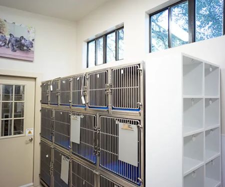 Manchaca Village Veterinary Care