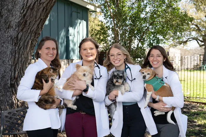 Manchaca Village Veterinary Care Picture 4