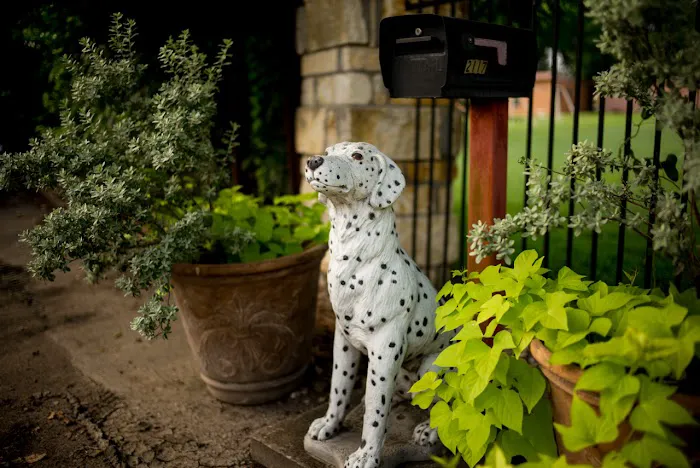 Manchaca Village Veterinary Care Picture 9