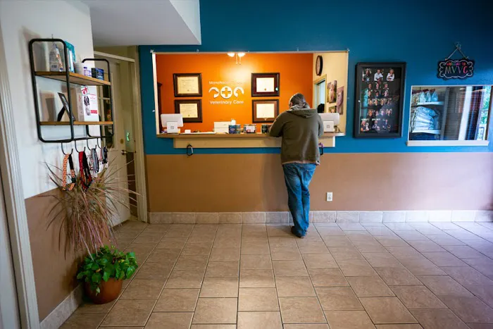 Manchaca Village Veterinary Care Picture 6