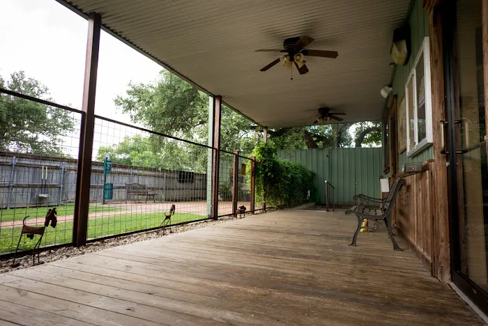 Manchaca Village Veterinary Care Picture 8