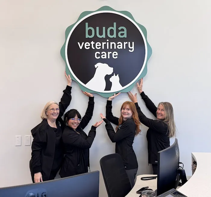 Buda Veterinary Care Picture 1