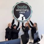 Buda Veterinary Care