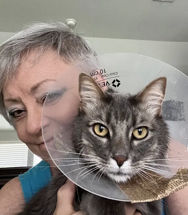 Buda Veterinary Care Picture 7