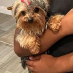 Banfield Pet Hospital