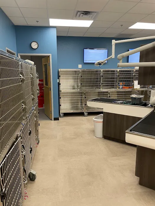 CityVet | Mansfield Veterinary Clinic & Urgent Care Picture 10