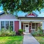Revitalizing Pet Care
