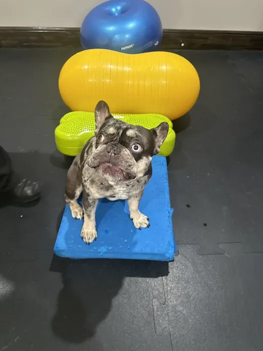 Old Town Holistic Pet Center Picture 1