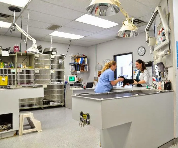 VCA Sandy Lake Animal Hospital Picture 2