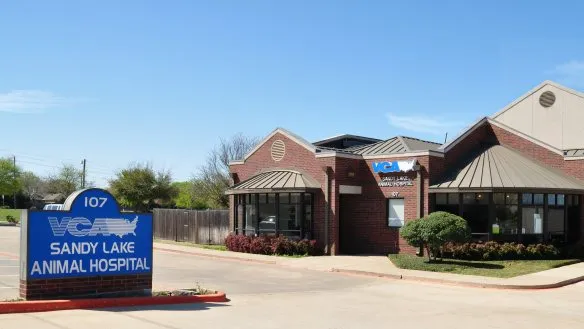 VCA Sandy Lake Animal Hospital Picture 5