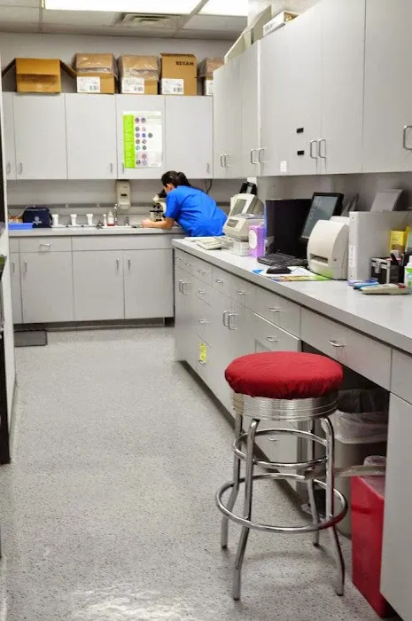 VCA Sandy Lake Animal Hospital Picture 3