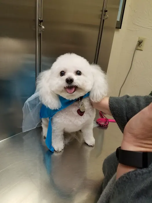 Midway Road Animal Clinic Picture 9