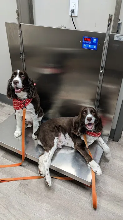 Midway Road Animal Clinic Picture 6