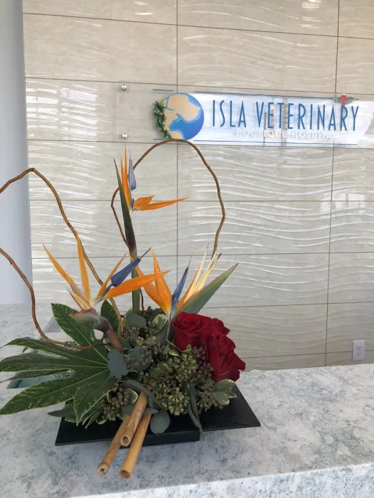 Isla Veterinary Boutique Hospital Picture 6