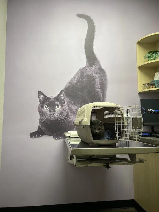 CityVet | Coppell Picture 3
