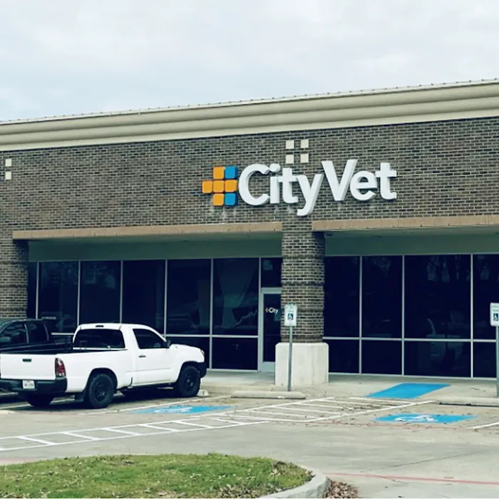 CityVet | Coppell Picture 10