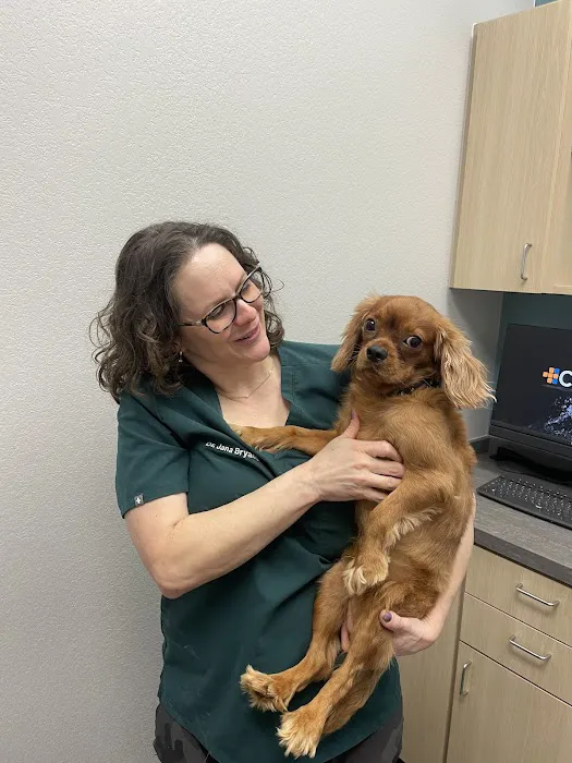 CityVet | Coppell Picture 6