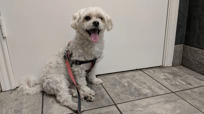 All Care Veterinary Hospital Picture 2