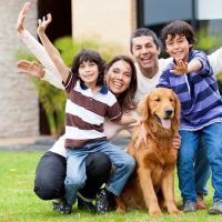 Walnut Plaza Veterinary Hospital ico