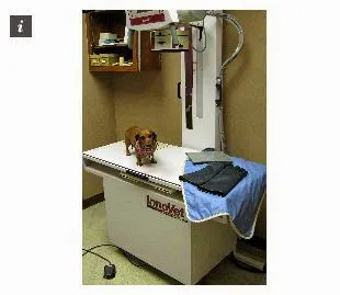 Walnut Plaza Veterinary Hospital Picture 2