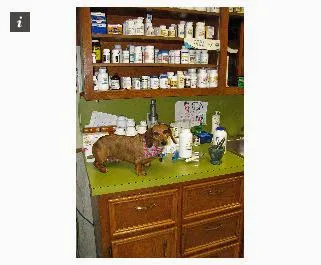 Walnut Plaza Veterinary Hospital Picture 3