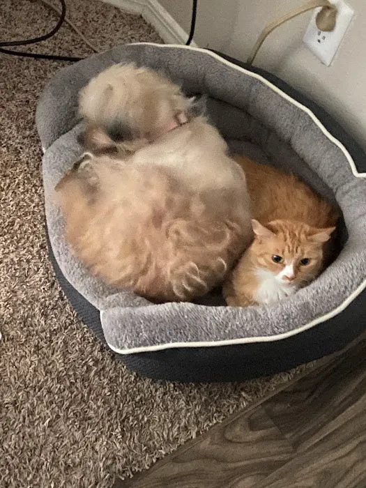Trinity Pet Hospital Picture 2