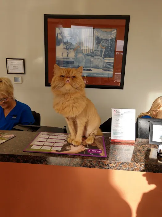 Pet Vet Picture 7