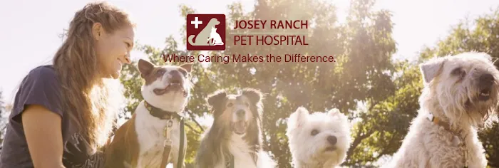 Josey Ranch Pet Hospital Picture 7