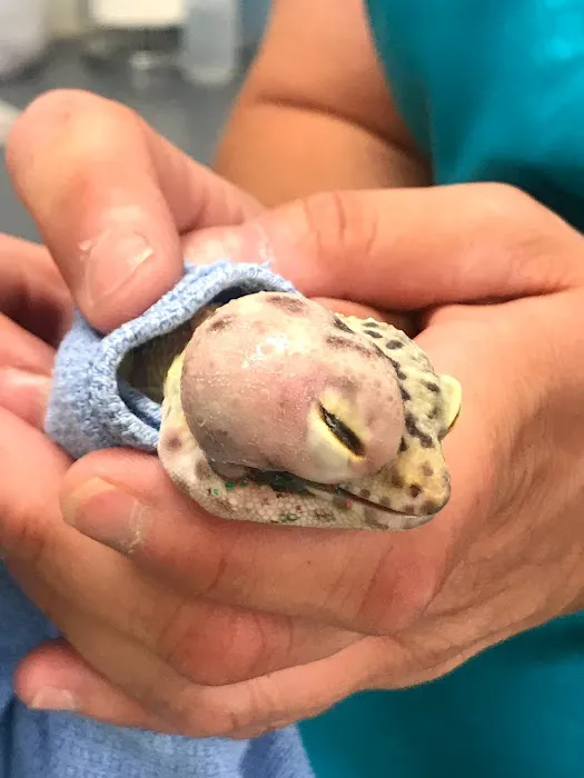 Sun Ranch Pet Hospital: RIKIA PARK DVM Picture 3