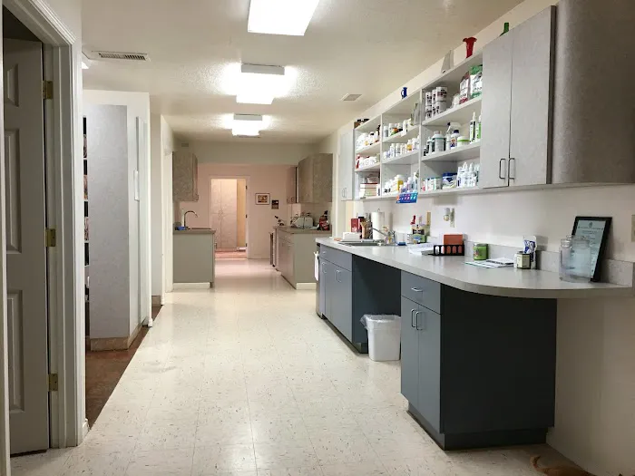 Sun Ranch Pet Hospital: RIKIA PARK DVM Picture 6