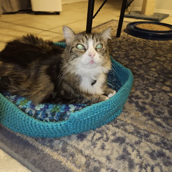 Valencia Animal Clinic Picture 4