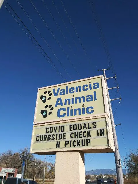 Valencia Animal Clinic Picture 2