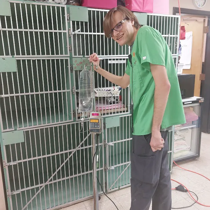 Valencia Animal Clinic Picture 6