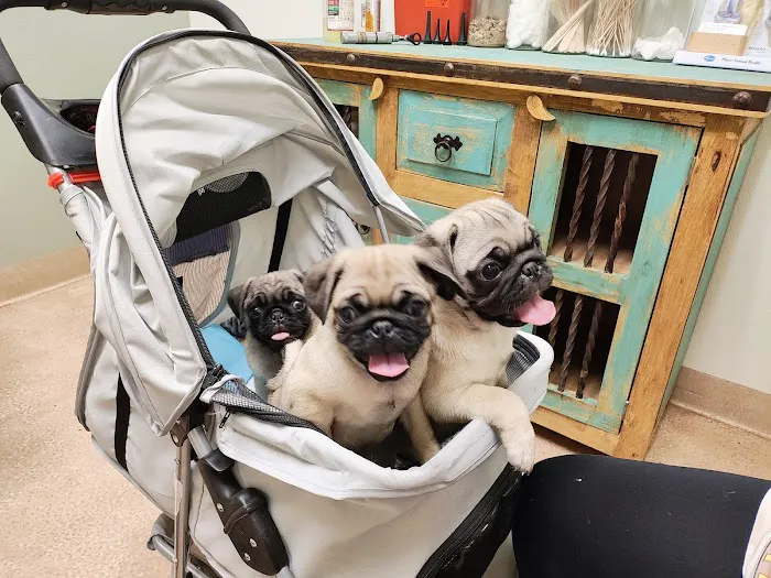 Yucca Veterinary Medical Center, LLC Picture 5