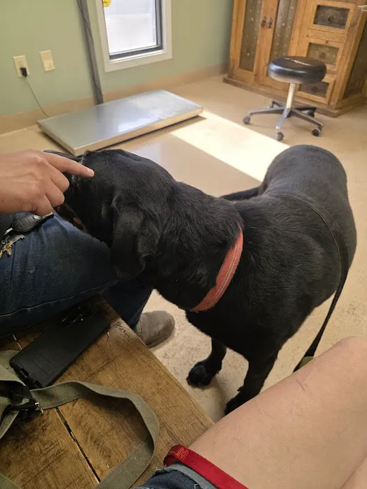 Yucca Veterinary Medical Center, LLC Picture 7