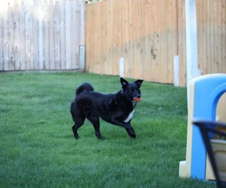 Yucca Veterinary Medical Center, LLC