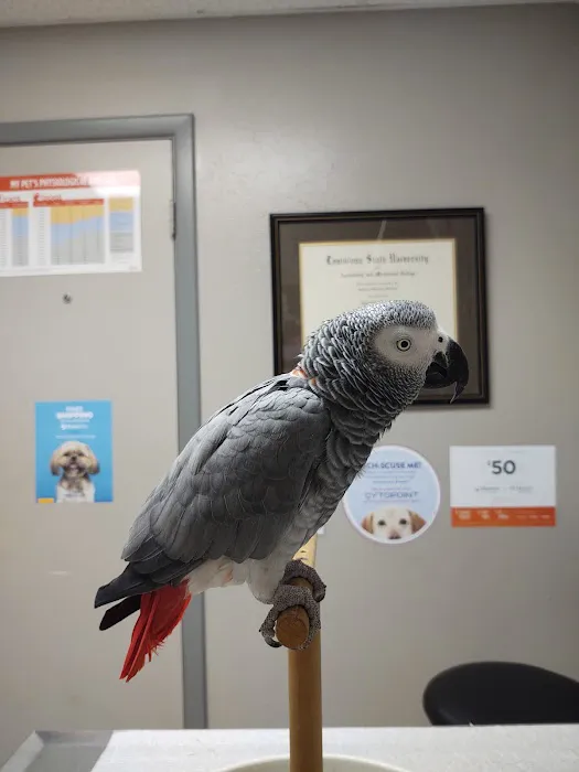 Southlake Animal Hospital Picture 2