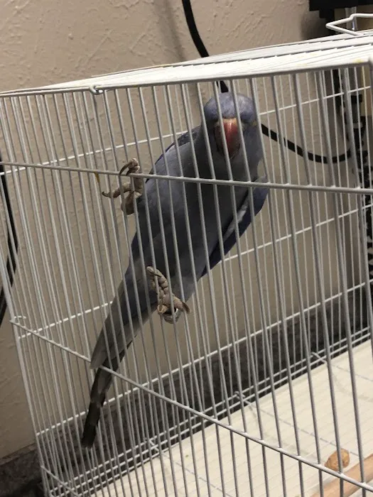 Southlake Animal Hospital Picture 8