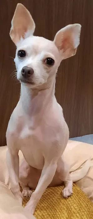 Richland Animal Hospital Picture 1