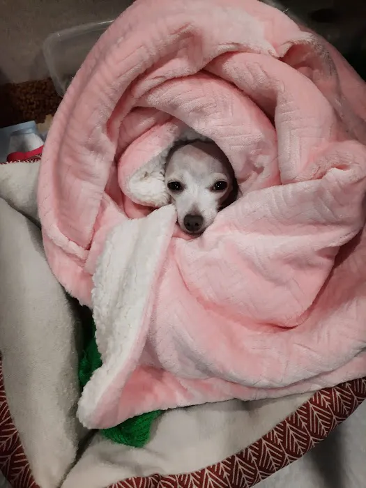Richland Animal Hospital Picture 6