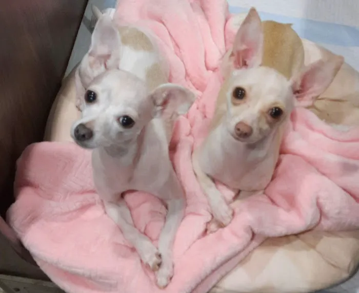 Richland Animal Hospital Picture 10