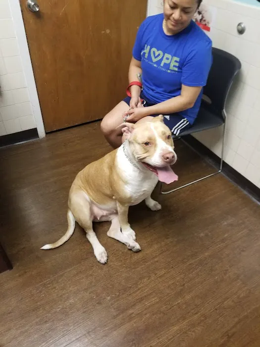 Richland Animal Hospital Picture 9