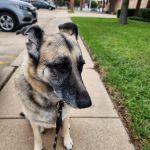 Family Pet Clinic of North Richland Hills