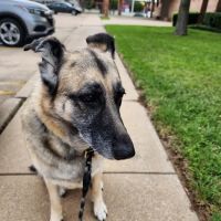 Family Pet Clinic of North Richland Hills ico