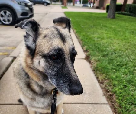 Family Pet Clinic of North Richland Hills