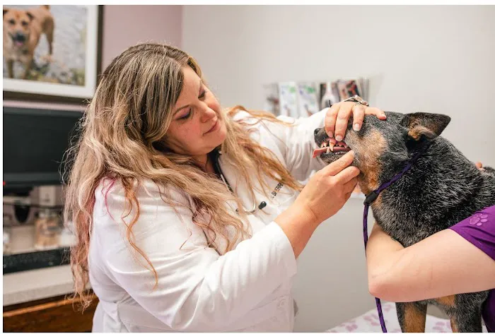 Family Pet Clinic of North Richland Hills Picture 9
