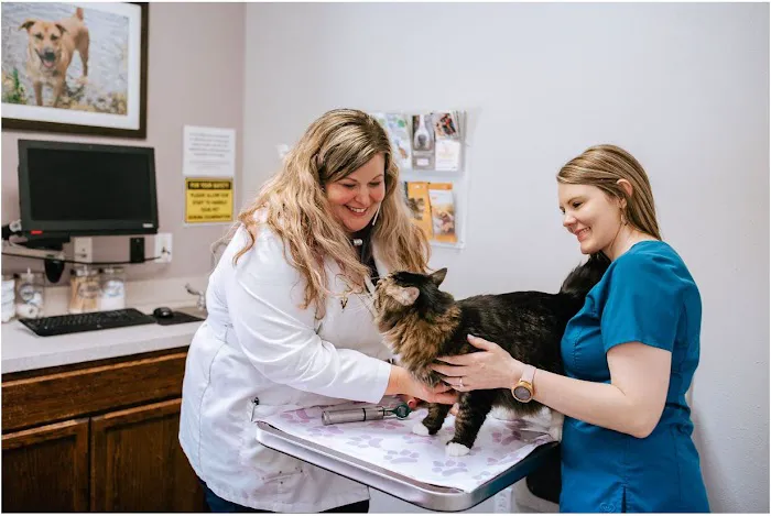 Family Pet Clinic of North Richland Hills Picture 3